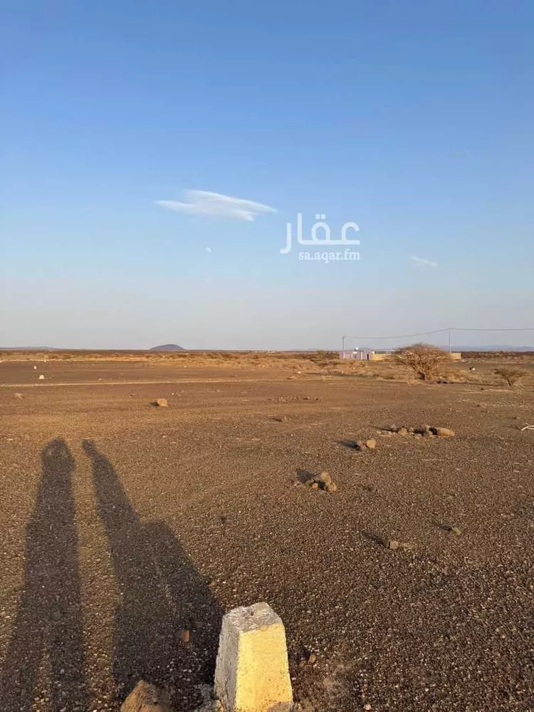 أرض للبيع في حي مخطط وادي  الفرع, مدينة وادي  الفرع, منطقة المدينة المنورة صورة 5