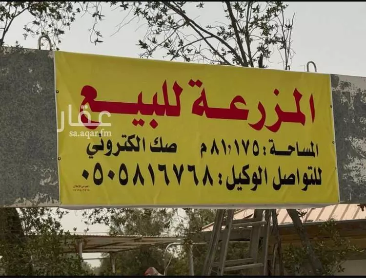 مزرعة للبيع في شارع الخترشيه 665 ، صفوى ، القطيف