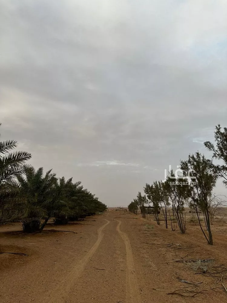 مزرعة للبيع في حي حماده الفروثى, مدينة حماده الفروثى, منطقة الرياض صورة 4