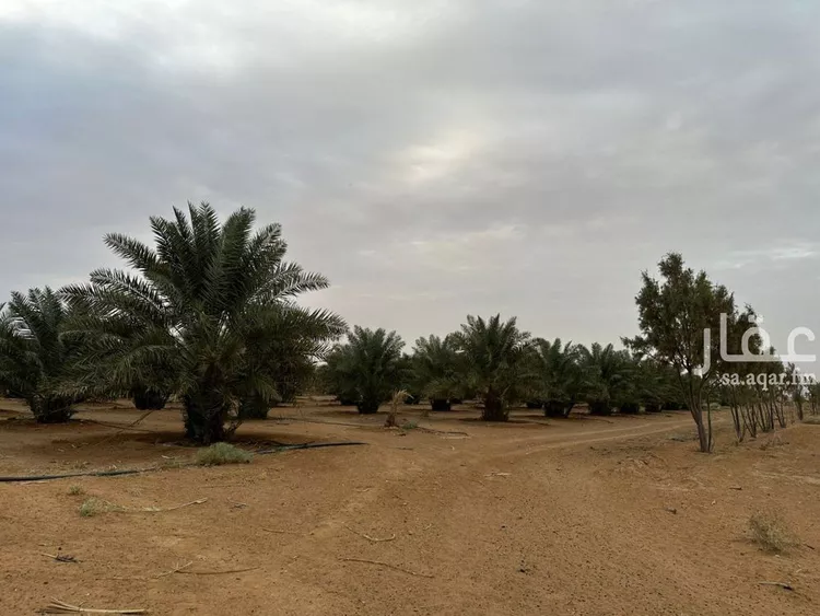 مزرعة للبيع في حي حماده الفروثى, مدينة حماده الفروثى, منطقة الرياض صورة 3