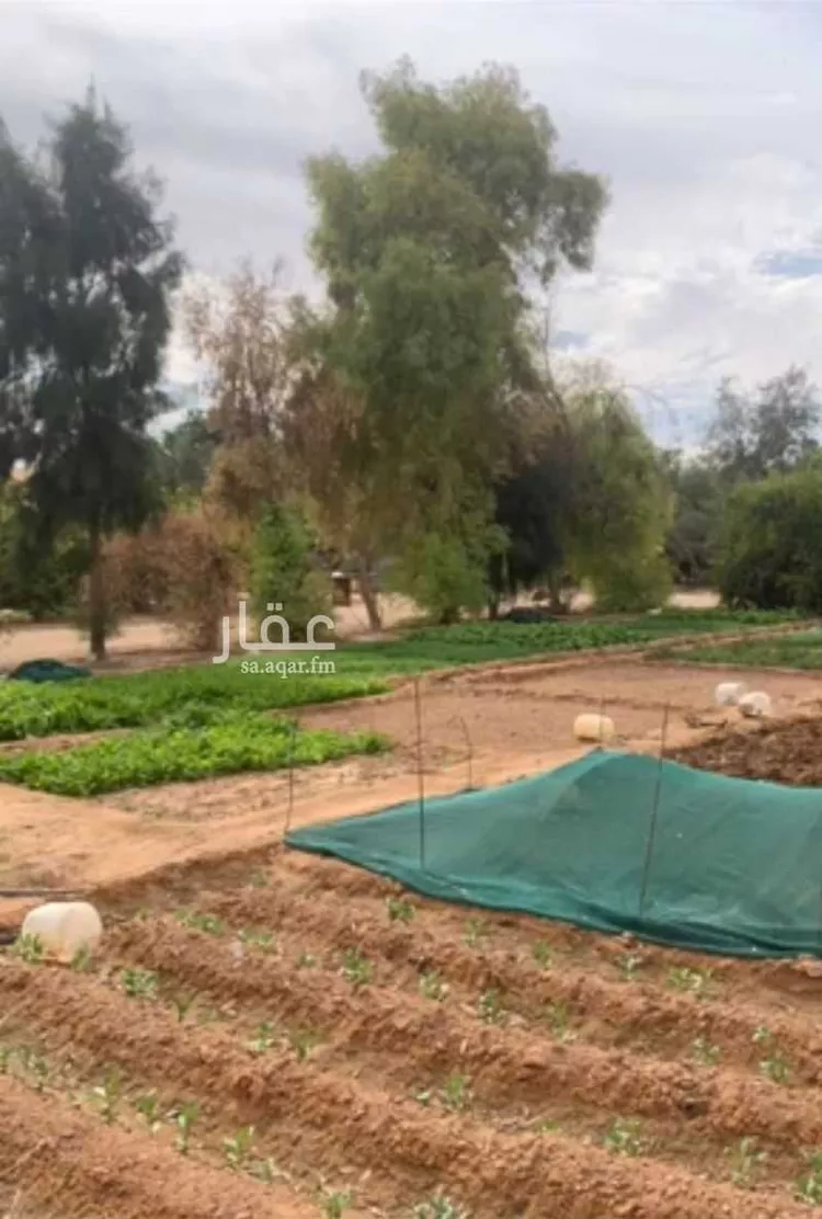 مزرعة للبيع في مدينة حفر الباطن, المنطقة الشرقية