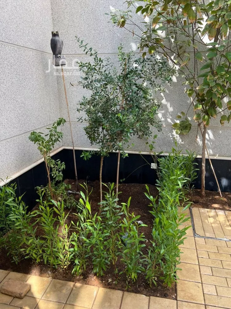 فيلا للإيجار في شارع رقم 189, حي الياسمين, مدينة الرياض, منطقة الرياض صورة 4