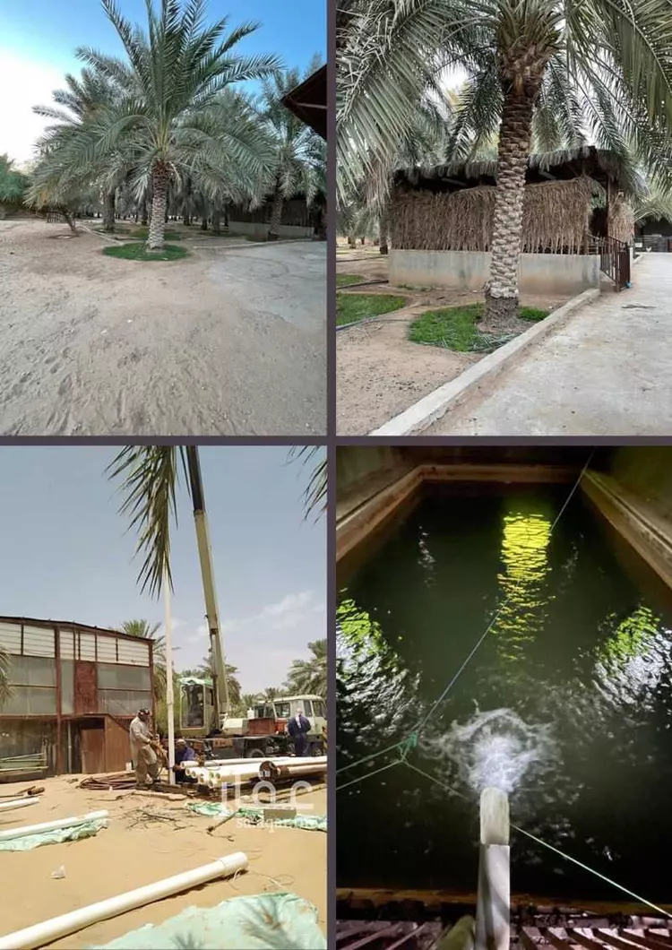 مزرعة للبيع في شارع النضر بن نزار, حي العليا, مدينة عنيزة, منطقة القصيم صورة 4