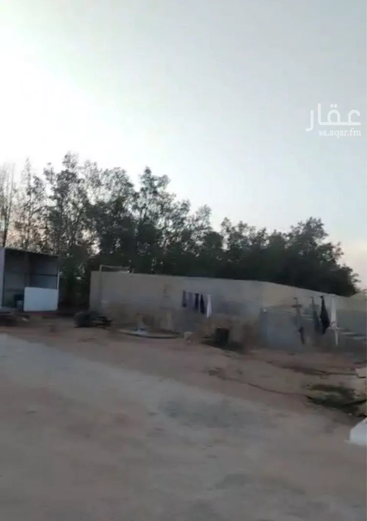 مزرعة للبيع في شارع دقله187, حي دقله, مدينة دقله, منطقة الرياض صورة 3