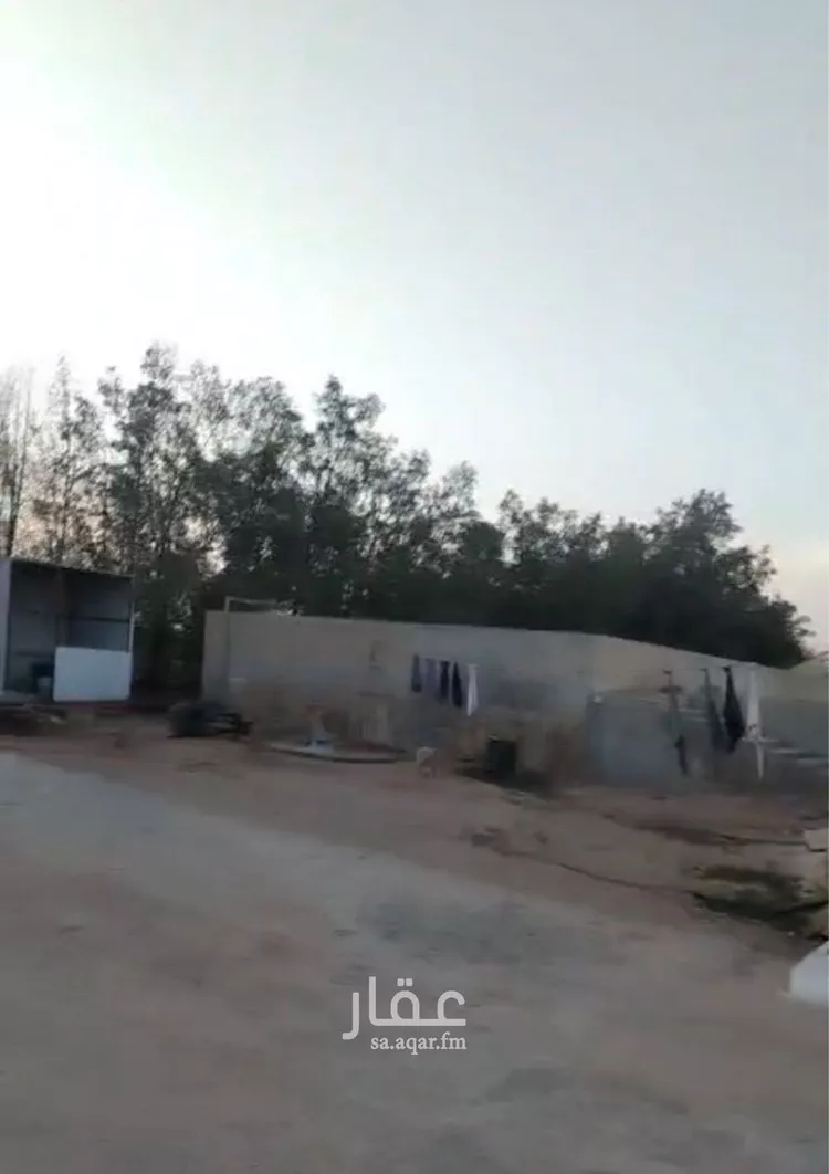 مزرعة للبيع في شارع دقله187, حي دقله, مدينة دقله, منطقة الرياض صورة 3