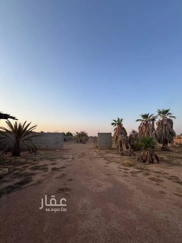 مزرعة للبيع في شارع التربيه 395 ، التربية ، منطقة حائل صورة 4