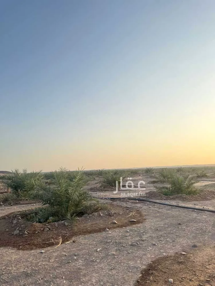 مزرعة للبيع في زبران ، خيبر