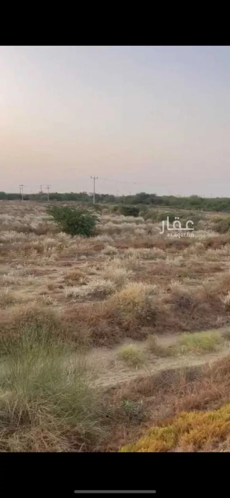 مزرعة للبيع في شارع شارع 34 ز, حي ملقوطه, مدينة ملقوطه, منطقة جازان صورة 2