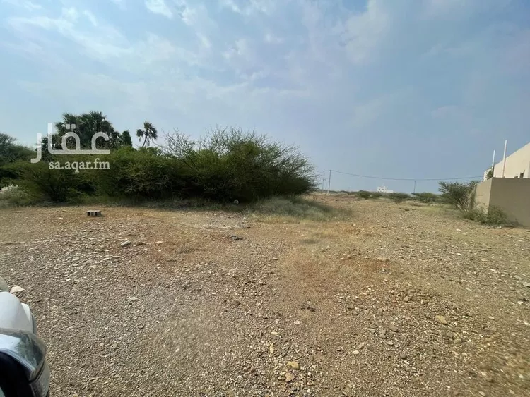 أرض للبيع في شارع سعد بن ابي وقاص, حي لصوب, مدينة لصوب, منطقة عسير صورة 3