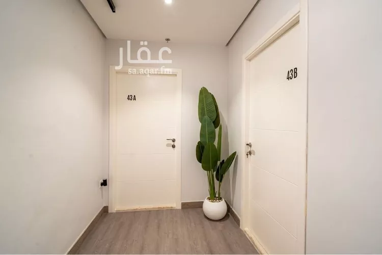 استوديو للإيجار في شارع سلمه بن عبدالملك, حي الأصيل, مدينة جدة, منطقة مكة المكرمة صورة 2
