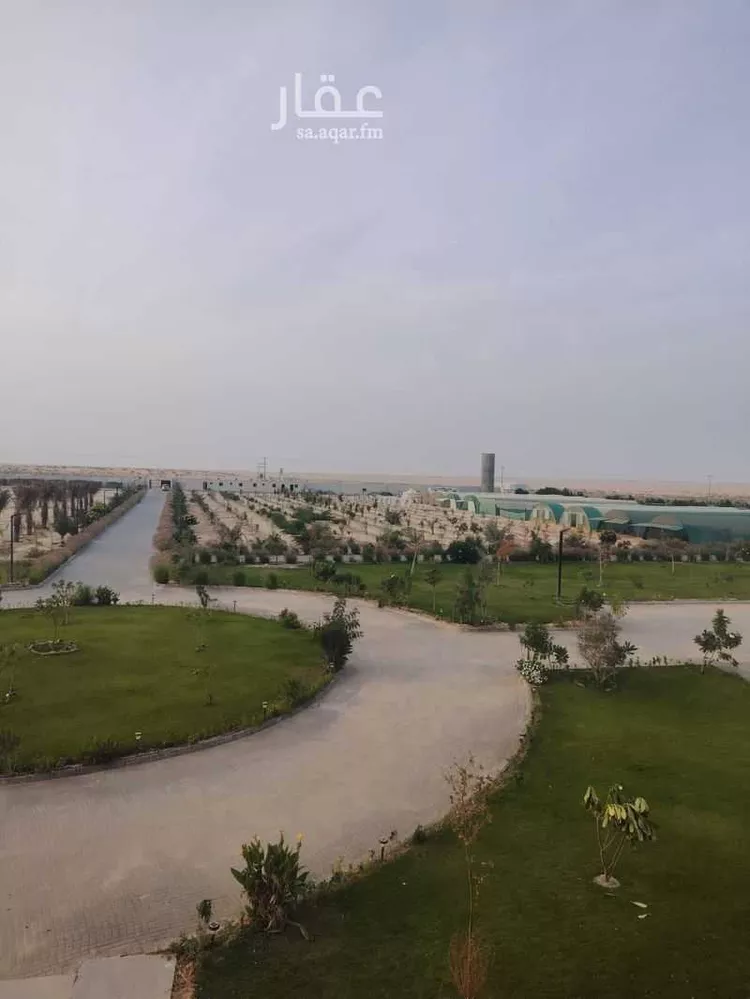 مزرعة للبيع في شارع 90898, حي صلاصل, مدينة بقيق, المنطقة الشرقية صورة 5