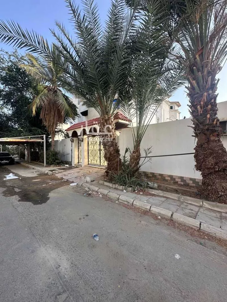 فيلا للإيجار في شارع برزة بنت مسعود, حي النعيم, مدينة جدة, منطقة مكة المكرمة صورة 5