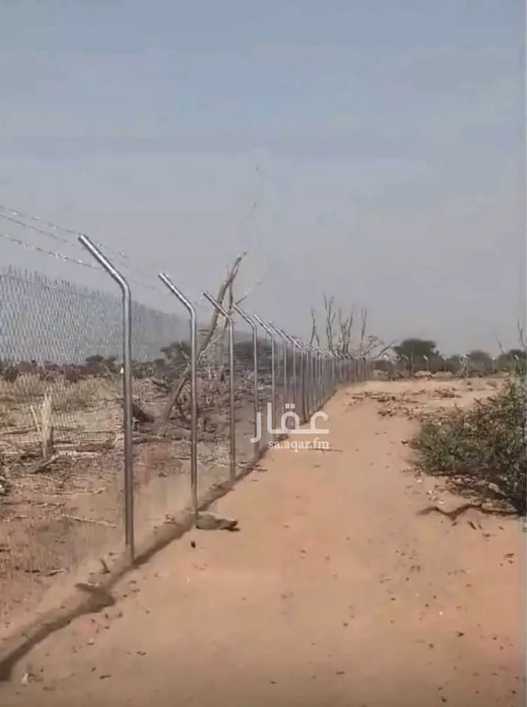 مزرعة للبيع في شارع الضميريه 428 ، المدينة المنورة ، منطقة المدينة المنورة صورة 2
