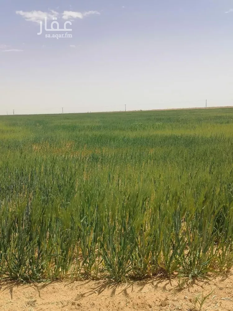 أرض للبيع في شارع جرش, حي الجبعاوية (جريش), مدينة الجبعاوية (جريش), منطقة تبوك صورة 3