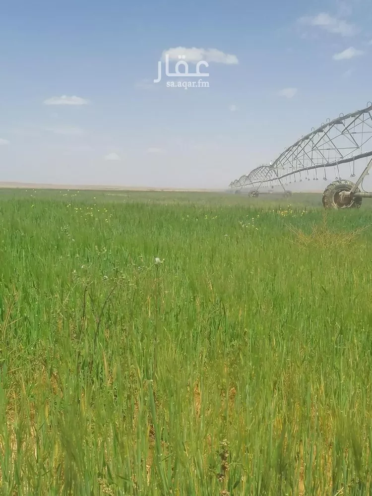 أرض للبيع في شارع جرش, حي الجبعاوية (جريش), مدينة الجبعاوية (جريش), منطقة تبوك صورة 4