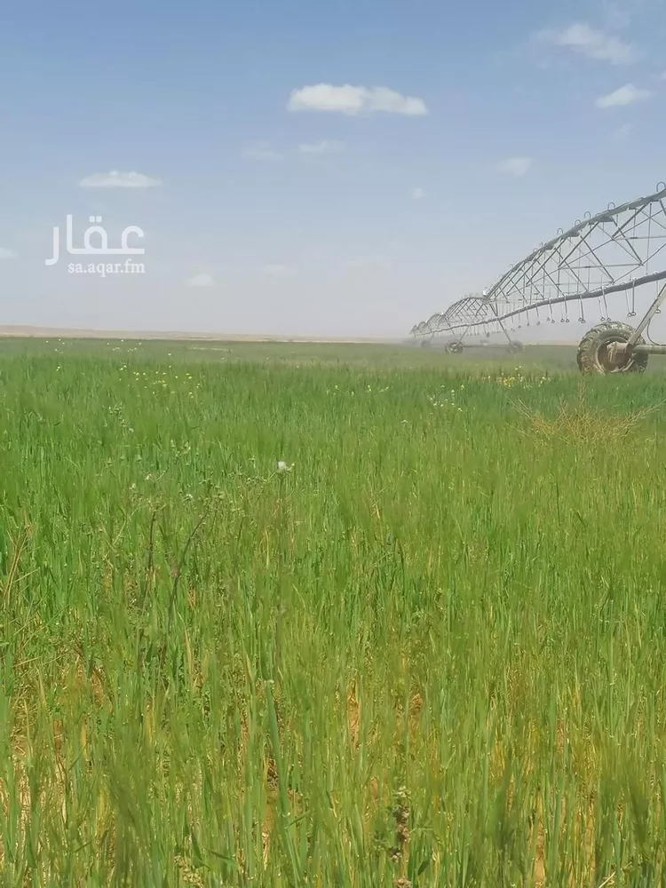 مزرعة للبيع في شارع لايوجد, حي الجبعاوية (جريش), مدينة الجبعاوية (جريش), منطقة تبوك صورة 2