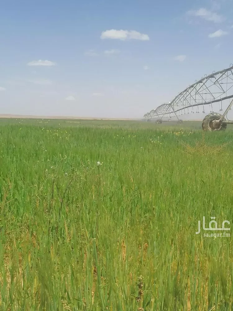 مزرعة للبيع في شارع لايوجد, حي الجبعاوية (جريش), مدينة الجبعاوية (جريش), منطقة تبوك صورة 4