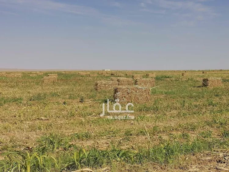 أرض للبيع في شارع جرش, حي الجبعاوية (جريش), مدينة الجبعاوية (جريش), منطقة تبوك صورة 4