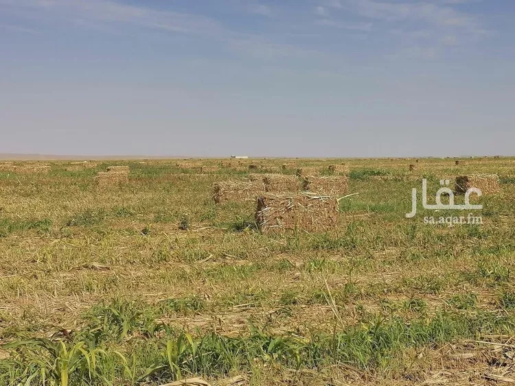 Land for Sale in Tayma Al Qaa صورة 5