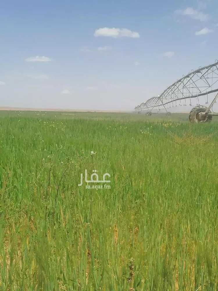 أرض للبيع في شارع جرش, حي الجبعاوية (جريش), مدينة الجبعاوية (جريش), منطقة تبوك