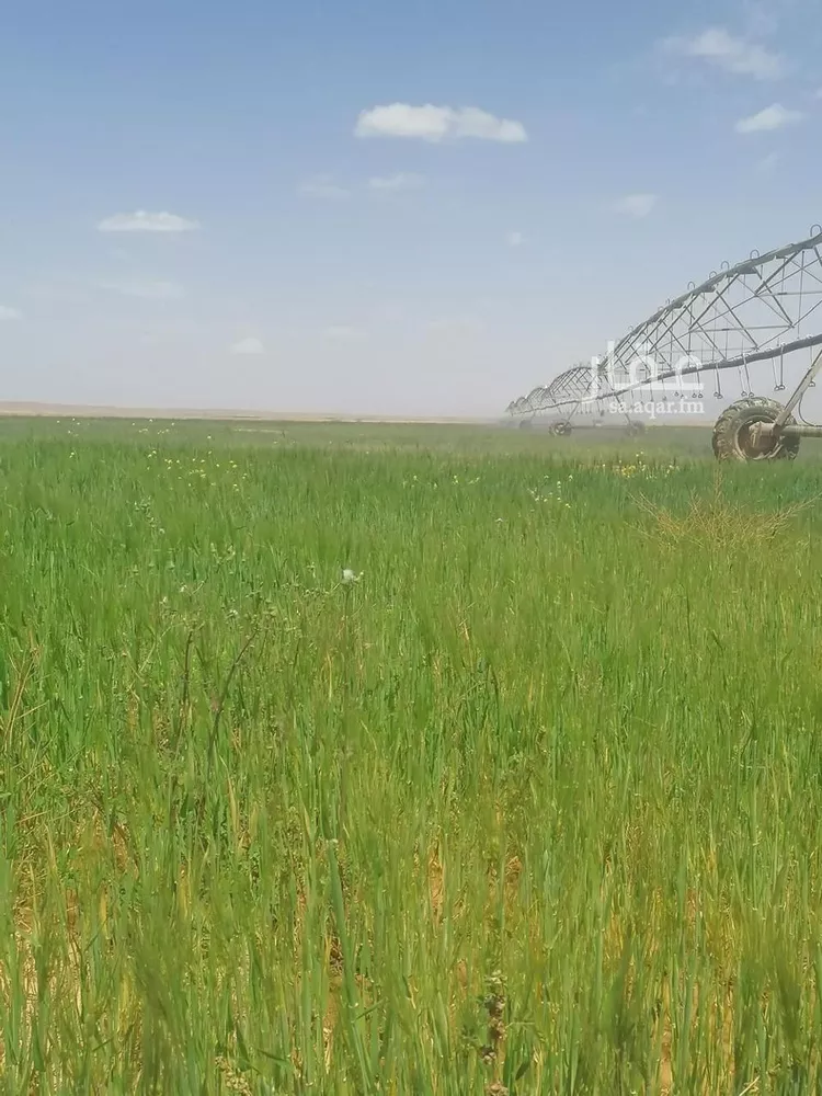 أرض للبيع في شارع جرش, حي الجبعاوية (جريش), مدينة الجبعاوية (جريش), منطقة تبوك صورة 2