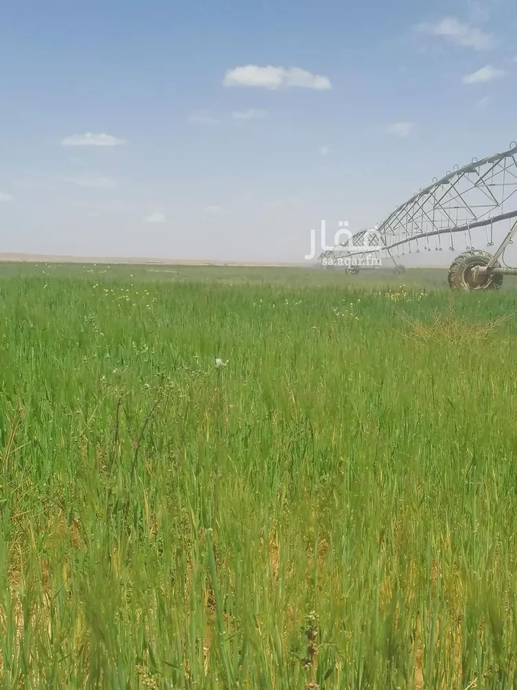 أرض للبيع في شارع جرش, حي الجبعاوية (جريش), مدينة الجبعاوية (جريش), منطقة تبوك صورة 3