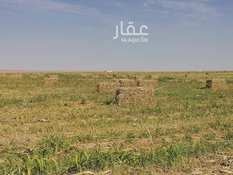 أرض للبيع في شارع جرش, حي الجبعاوية (جريش), مدينة الجبعاوية (جريش), منطقة تبوك صورة 2