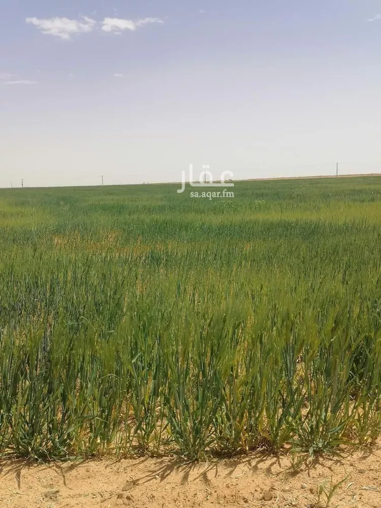 أرض للبيع في شارع جرش, حي الجبعاوية (جريش), مدينة الجبعاوية (جريش), منطقة تبوك صورة 4