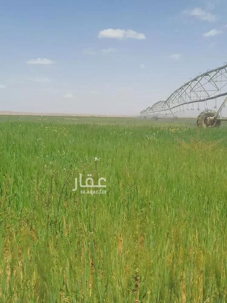 أرض للبيع في شارع جرش, حي الجبعاوية (جريش), مدينة الجبعاوية (جريش), منطقة تبوك صورة 5