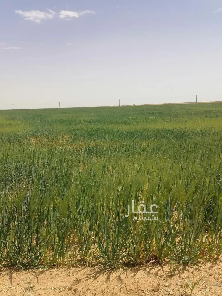 مزرعة للبيع في شارع لايوجد, حي الجبعاوية (جريش), مدينة الجبعاوية (جريش), منطقة تبوك صورة 3