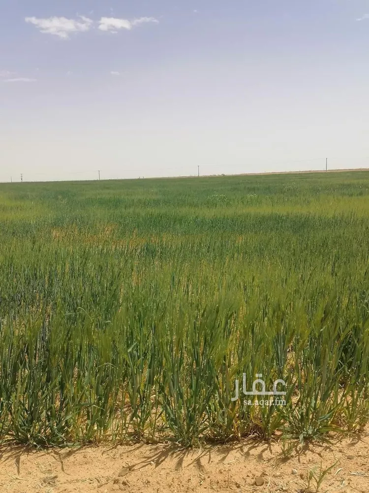 Land for Sale in Tayma Al Qaa صورة 4