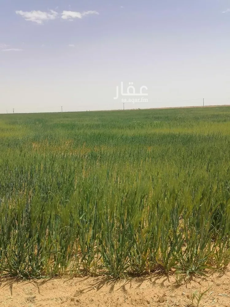 مزرعة للبيع في شارع لايوجد, حي الجبعاوية (جريش), مدينة الجبعاوية (جريش), منطقة تبوك 7