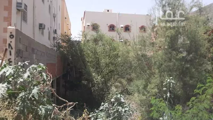 Land for Sale in Taif Al Washaa