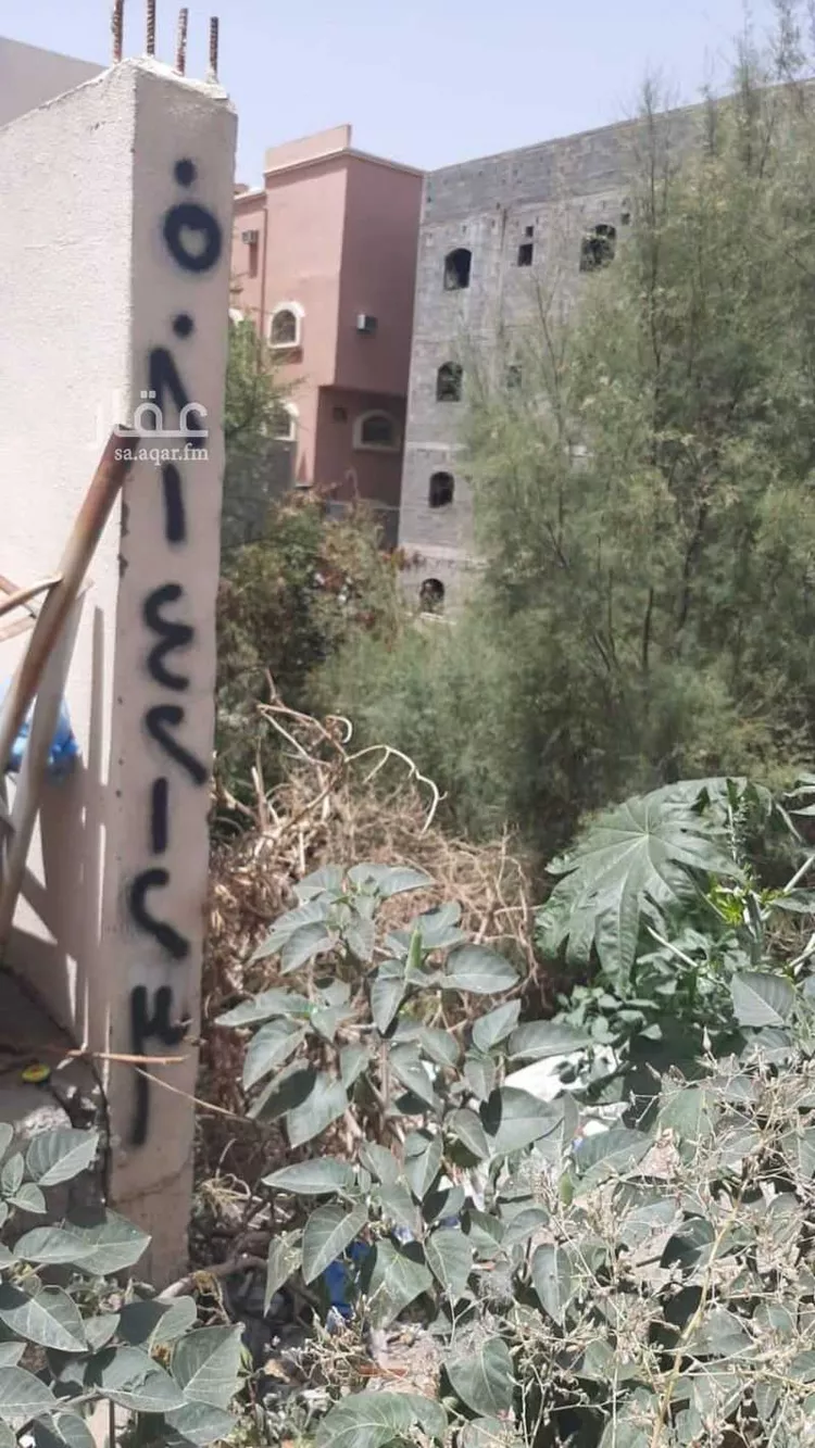 أرض للبيع في شارع الحسن ابن شجاع ، حي النسيم ، الطائف ، الطائف صورة 5