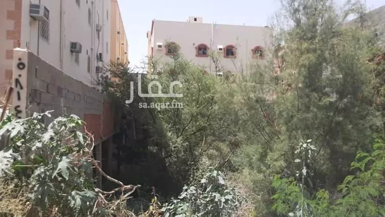 أرض للبيع في شارع الحسن ابن شجاع ، حي النسيم ، الطائف ، الطائف صورة 4