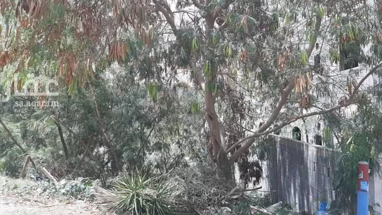 أرض للبيع في شارع الحسن ابن شجاع ، حي النسيم ، الطائف ، الطائف صورة 2