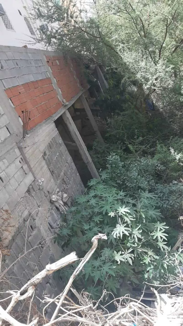 أرض للبيع في شارع الحسن ابن شجاع ، حي النسيم ، الطائف ، الطائف صورة 3