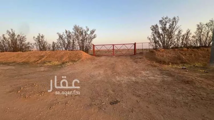 أرض للإيجار في شارع الودى, حي الودى, مدينة ودي الحزم الودي, منطقة حائل صورة 5