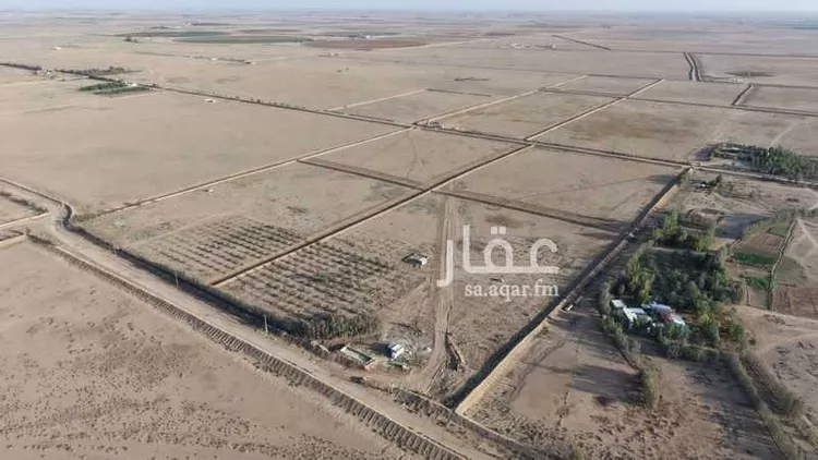 أرض للإيجار في شارع الودى, حي الودى, مدينة ودي الحزم الودي, منطقة حائل صورة 2