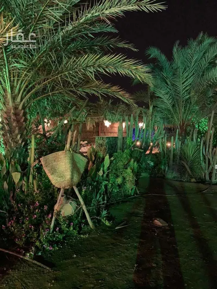 أرض للإيجار في شارع خبت سعيد 456 ، الريان ، ابو عريش صورة 5