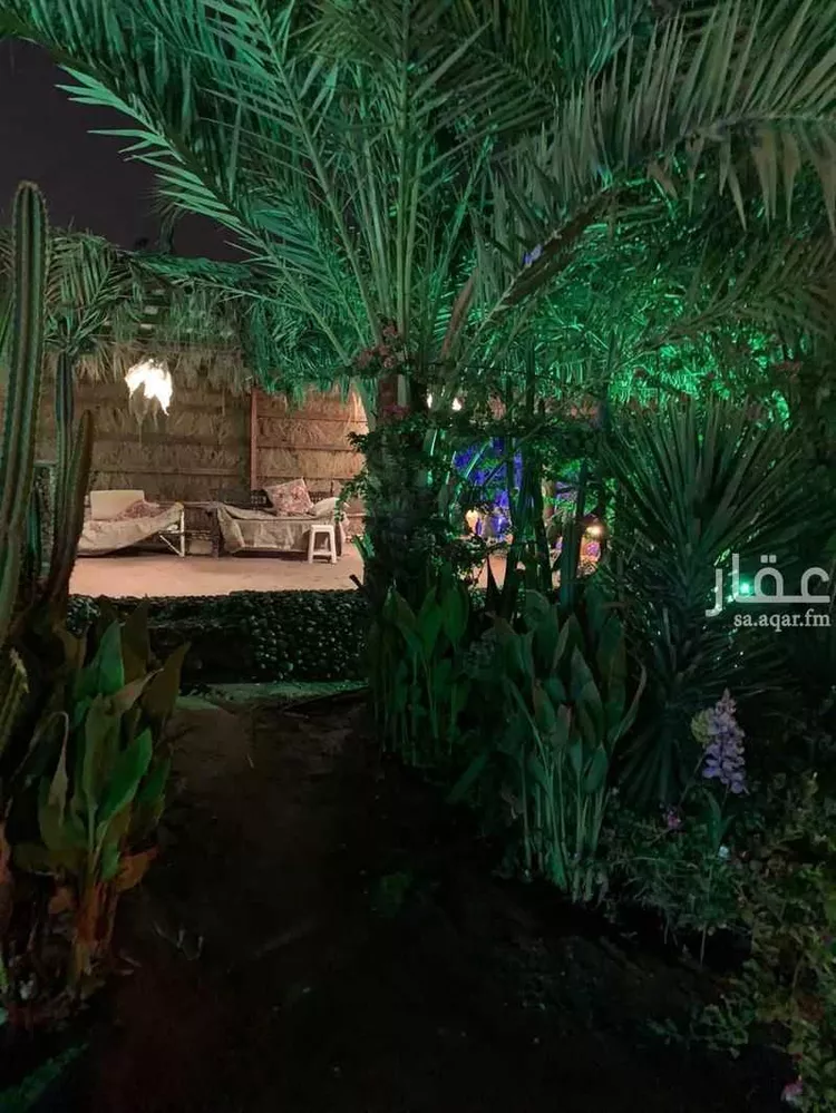 أرض للإيجار في شارع خبت سعيد 456 ، الريان ، ابو عريش صورة 3