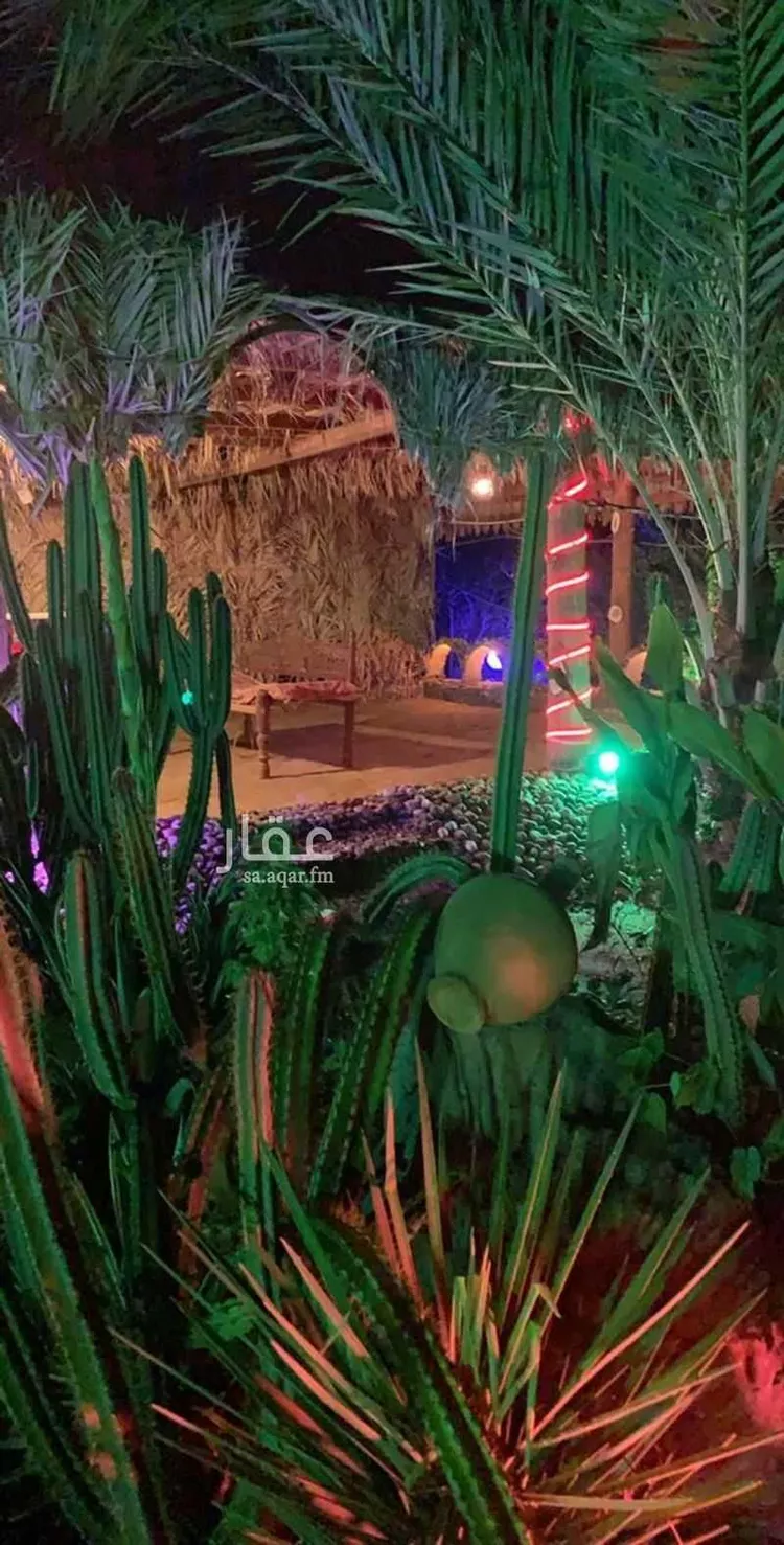 أرض للإيجار في شارع خبت سعيد 456 ، الريان ، ابو عريش صورة 4