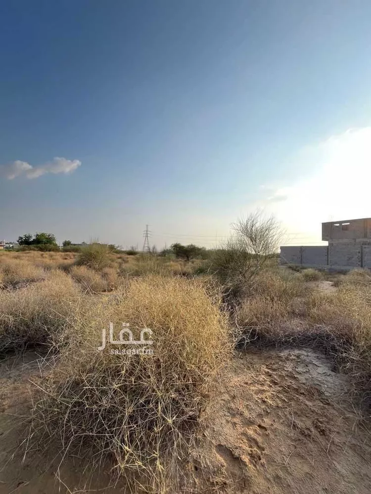 أرض للبيع في جازان ، ابو عريش صورة 2