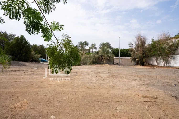 أرض للبيع في شارع حسين سراج, حي الروضة, مدينة جدة, منطقة مكة المكرمة صورة 3