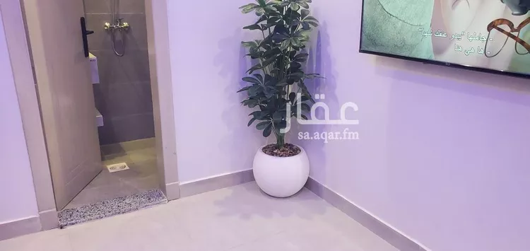 شقة للإيجار في شارع الفوز, حي مشرفة, مدينة جدة, منطقة مكة المكرمة صورة 3