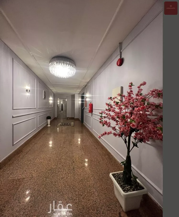 مكتب تجاري للإيجار في شارع التخصصي, حي النخيل, مدينة الرياض, منطقة الرياض صورة 3