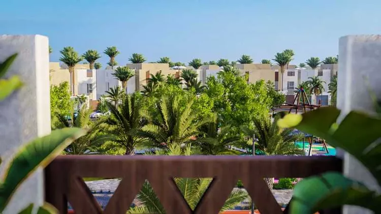 المهرة 10