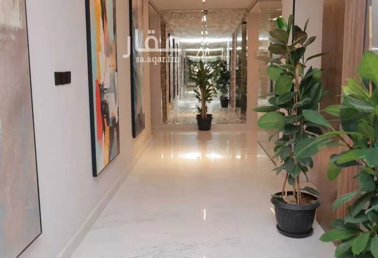 العقيق صورة 4