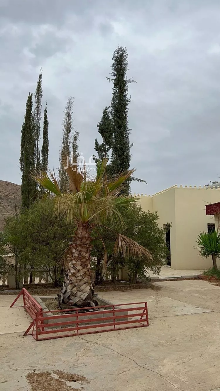 استراحة للبيع في شارع المظيهير, حي المنتزة, مدينة أبها, منطقة عسير صورة 4