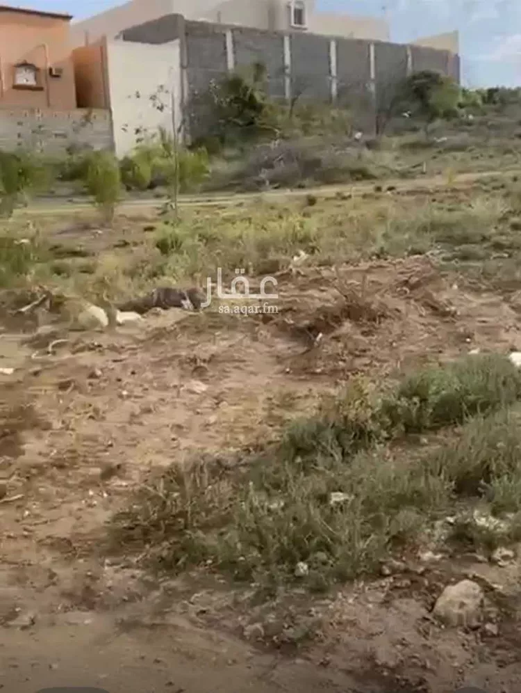 أرض للبيع في شارع 00000, حي الرهوة, مدينة بلجرشي, منطقة الباحة صورة 2